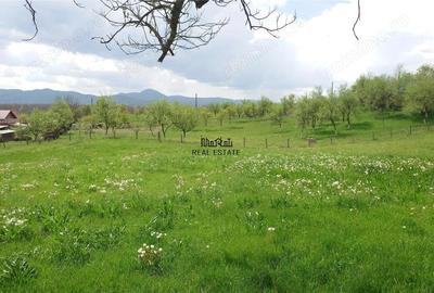 Casă cu 3 camere cu Teren 4977 Mp în Brad - 4