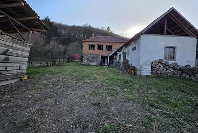 Casă cu 4 camere cu Teren 1887 Mp în Tisa - 8