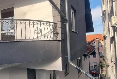 Casă cu 6 camere în Banat - 1