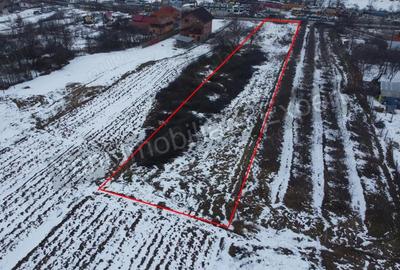 Teren de 2533 mp, în Bălteni - 4