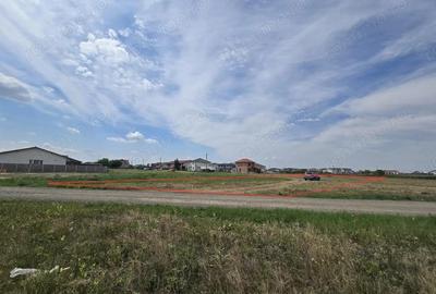 Mosnita Noua- Serena-1100mp - P+1E+M- Toate Utilitatile - 1