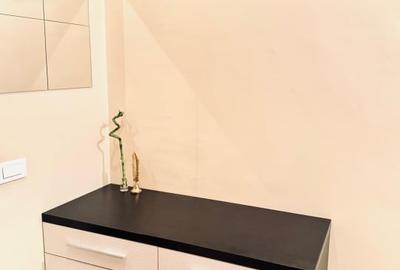 Apartament cu 2 camere semidecomandat, mobilat în Dudești - 12