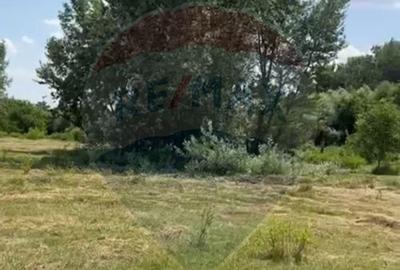 Teren-5000mp DN Ganeasa,sat Sindrilita,T9/Parcela 32/37 - 1