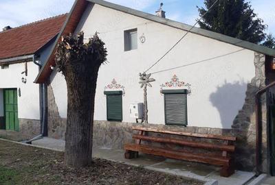 Casă cu Teren 686 Mp în Central - 12