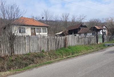 Casă cu 3 camere în Greci - 5