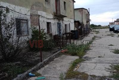 Depozit și hală industrială de vânzare – Orțișoara, complex industrial Avicola - 5