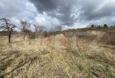 Teren intravilan in suprafata de 2000 mp, zona Episcopiei - 2