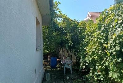 Casă cu 2 camere cu Teren 798 Mp în Sâncraiu de Mureș - 3
