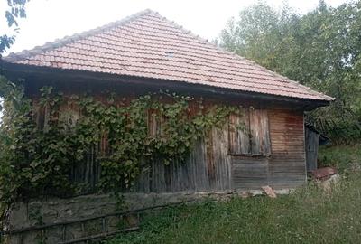 Teren intravilan de 9000 mp, în Secăria - 6