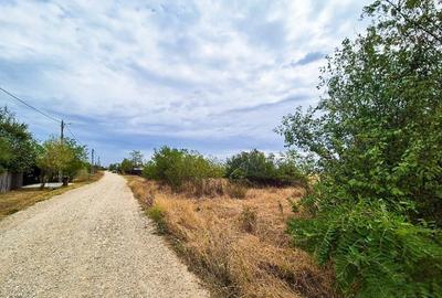 Teren intravilan Suseni Arges - 6