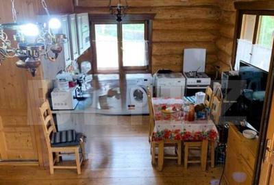 Cabana, 3 camere, 80 mp, localizata la 100 km de Timisoara - 5