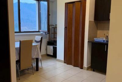 Inchiriez studio spatios + garaj inchis - 6