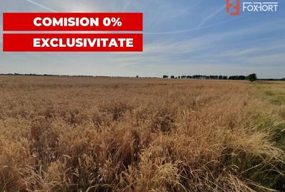 Teren Construcții intravilan de 24700 mp, în Pădureni (Jebel) - 11