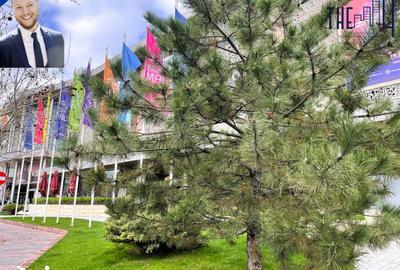 Apartament cu 2 camere semidecomandat în Vitan