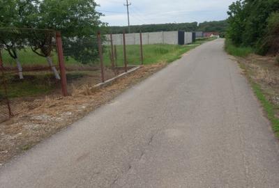 Teren Pielesti 4447mp - 3