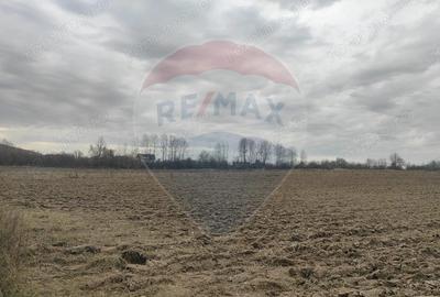 Teren de 11900 mp, în Fârdea - 2