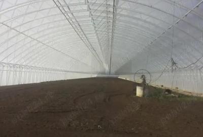 Teren de 5000 mp, în Matca - 3