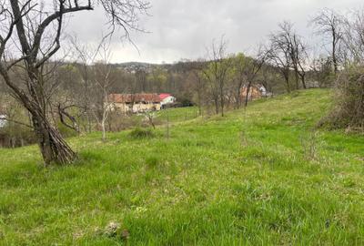 Teren de 2300 mp, în Valea Lungă - 4