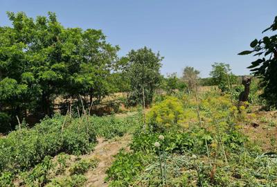 Casă cu 2 camere în Băltenii de Jos - 1