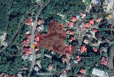 Teren 6550 mp in Sinaia cu PUZ | Oportunitate Investitie - 2