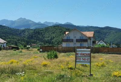 Teren de 1000 mp, în Sâmbăta de Sus - 2