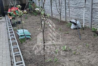 Casă cu 3 camere cu Teren 211 Mp în Sânandrei