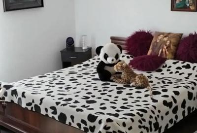 Proprietar vand 1 2 duplex p+1,83 m2 util 200 m2 teren,toate utilita?ile,la cheie complet dotat. - 2