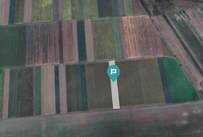 Teren extravilan de 14.500 mp in Caporal Alexa