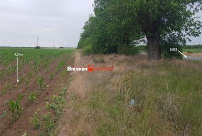 Teren de 43500 mp, în Sud - 9
