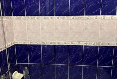 Apartament cu 1 camera - zona Centru Istoric - Stefan cel Mare - Pet Friendly - 13