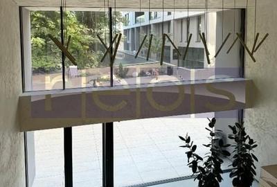 OPORTUNITATE | VANZARE SPATIU COMERCIAL | 44MP | HERASTRAU | WIN | - 10