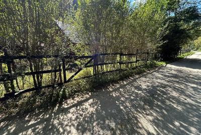 Casă cu Teren 358 Mp în Valea Mănăstirii - 3