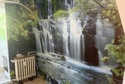 Apartament cu 2 camere decomandat în Valea Rosie - 7