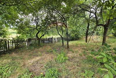 Teren Construcții intravilan de 2036 mp, în Pădureni (Șendriceni) - 4