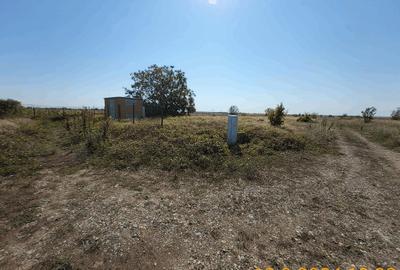 Frumusani post trafo Frumusani post trafo - 6