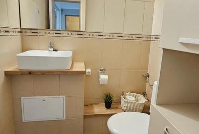 Apartament cu 3 camere decomandat, mobilat în Micălaca - 12
