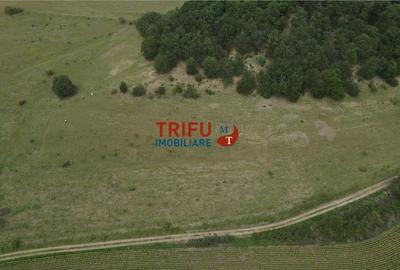 Teren cu priveliște și pădure pentru cabane de vânzare î Teren cu priveliște și pădure pentru cabane de vânzare î - 4