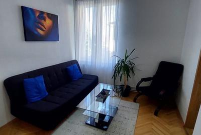 Casa  132mp utili si curte ,spre inchiriere  in zona Parcul SubArini - 1