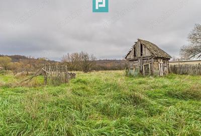 Casa, anexa si gradina Dorgos - 9