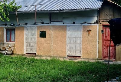 Teren cu casa in Cobia - 2