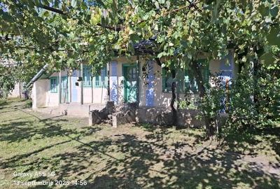 Casă cu 3 camere în Siliștea - 5