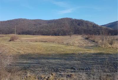 Teren de 40000 mp, în Balotești