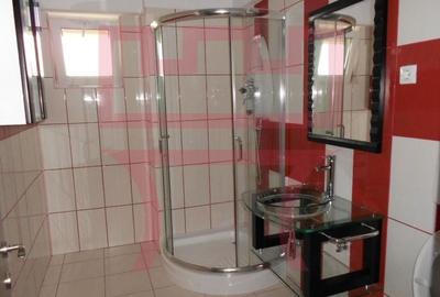 Inchiriere apartament 4 camere recent renovat in Plopilor Vest + garaj - 8