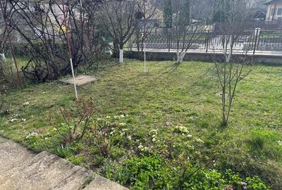 Casă cu Teren 1185 Mp în Gura Beliei - 3