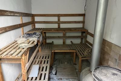 Casa-langa studiourile Buftea, 2 constructii, curte cu pomi, 2500mp, langa lac - 9