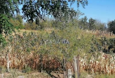 Casă cu 3 camere cu Teren 8567 Mp în Bumbești-Pițic - 2