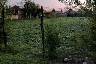 Spațiu comercial, în Singureni - 1
