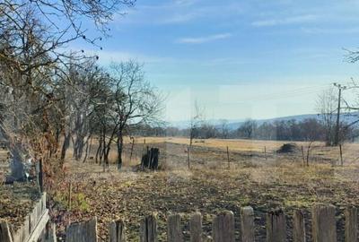 Teren intravilan 5800 mp, Chinteni, sat Padureni, pentru dez - 5