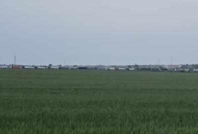 Teren de vanzare situat in localitatea Agigea –Lazu zona Logistic Park - 9
