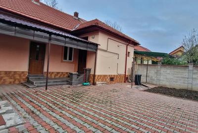 Casa zona Blascovici-Cetatii - 14